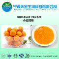 Instant Kumquat powder/ Kumquat juice powder /kumquat juice concentrate powder